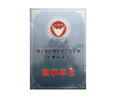 浙江省區(qū)域經(jīng)濟合作企業(yè)發(fā)展促進會理事單位